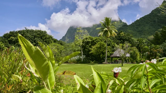 Jardin botanique de Fa'aroa à Raiatea