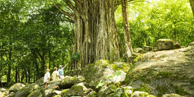 Nuku Hiva © Grégoire Le Bacon