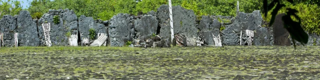 Marae Taputapuatea